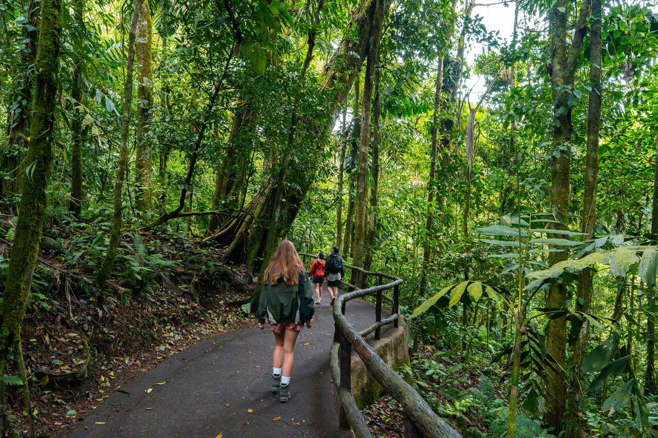 People hiking along the trail at Mystico
