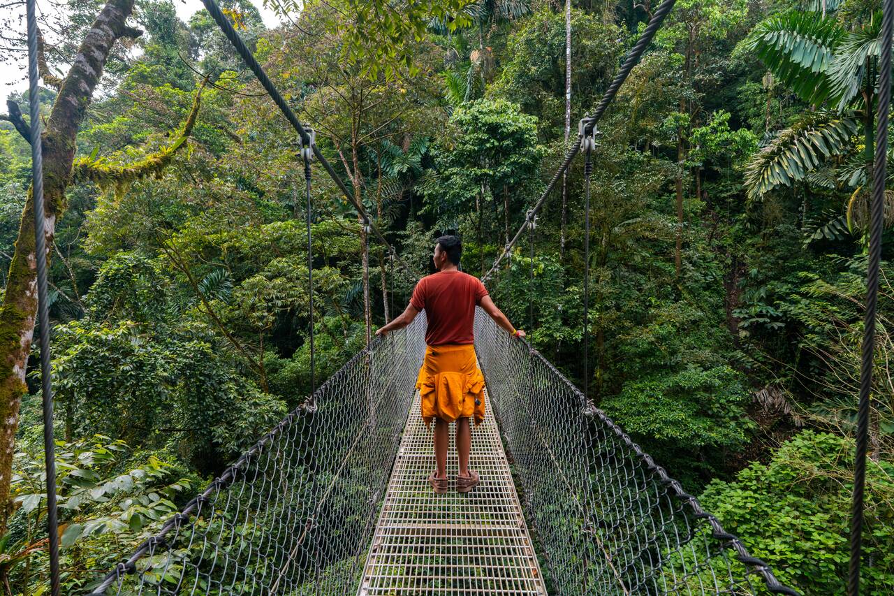 Me standing on a hanging bridge at Mistico Park