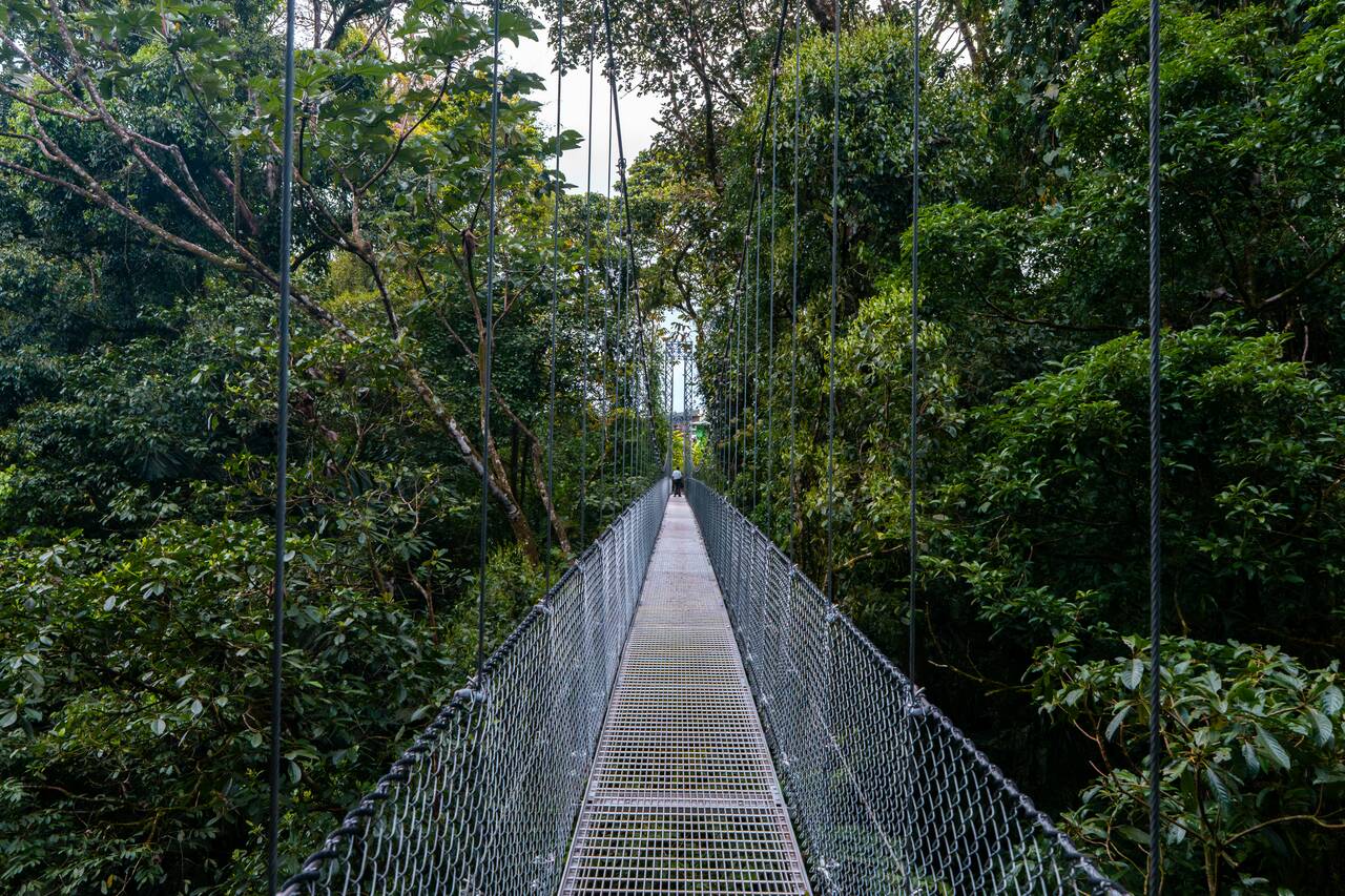 The last suspension bridge and the longest one in Mystico