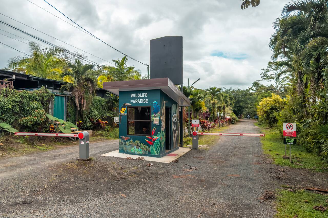 The entrance to Bogarin Trail