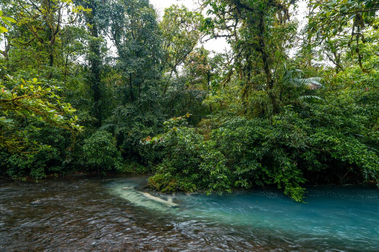 The location where the colors of the river originate along the Rio Celeste hiking trail