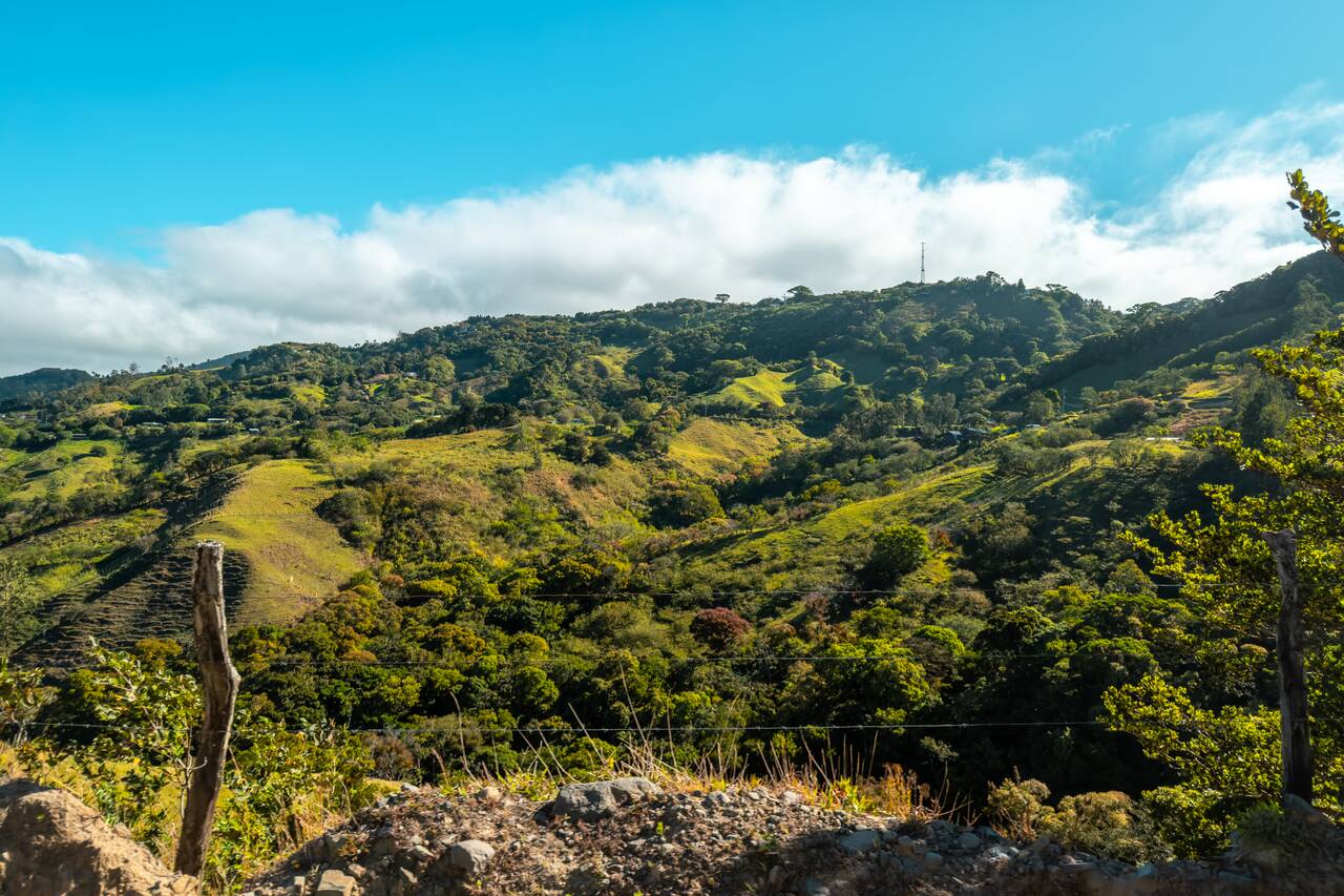 The view from Monteverde to Liberia