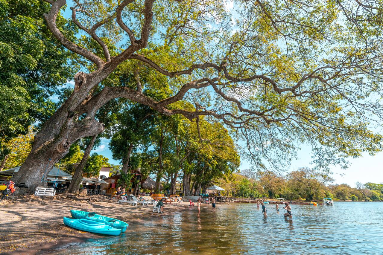 Kayak and trees at Playa Mangos