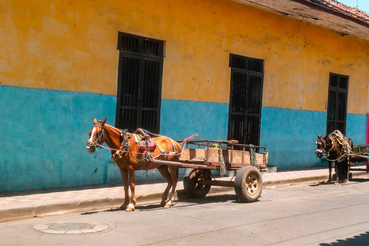 Horse Carts at Granada