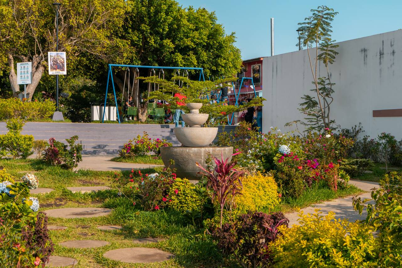 Flowers at Apeneca