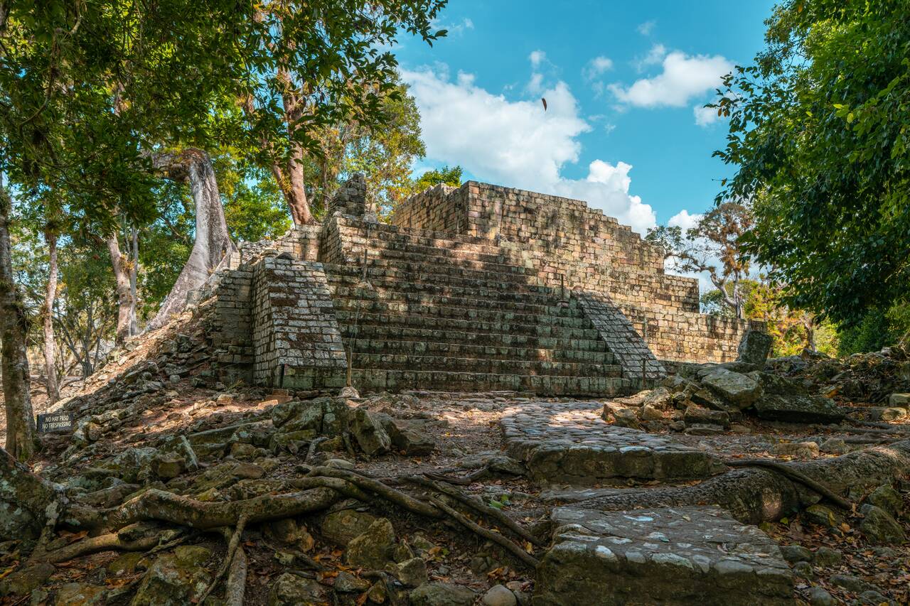 Trees overtaken a temple in Copan