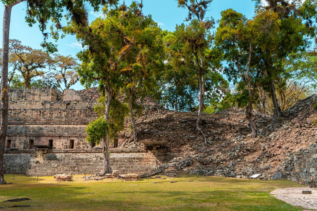 Old ruins in Copan taken by trees