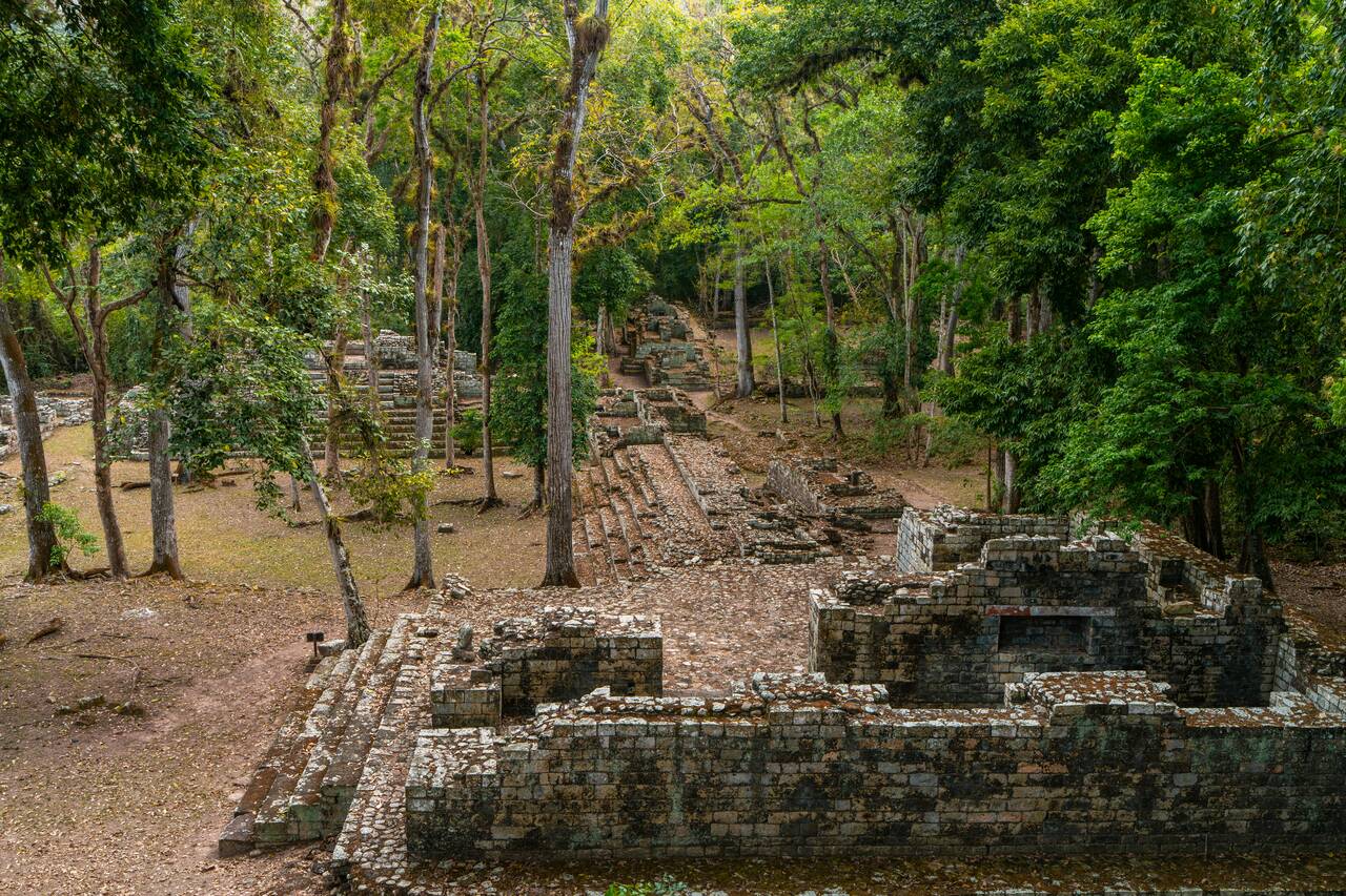 the old Mayan residential area at Copan