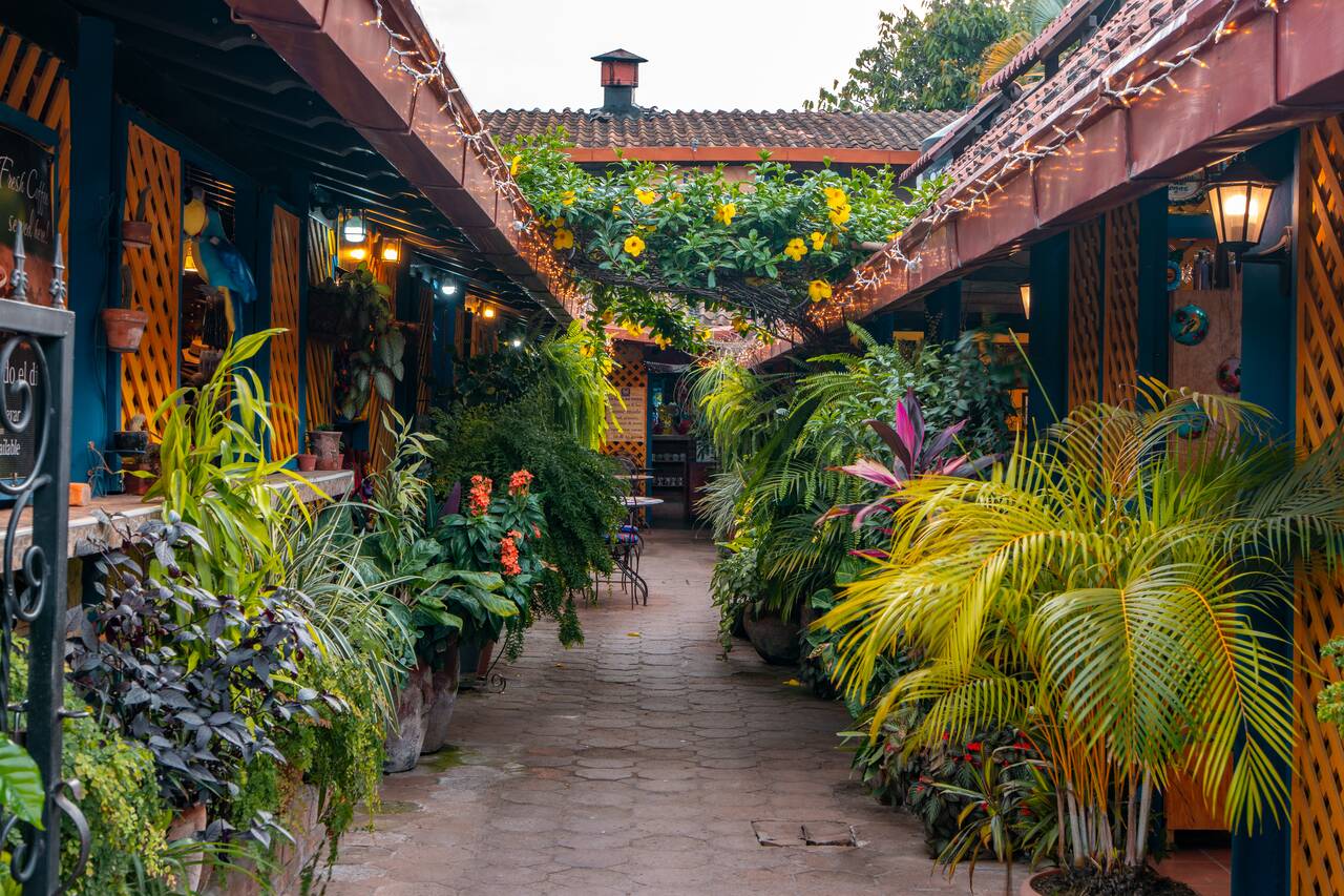 Inside La Casa de Todo