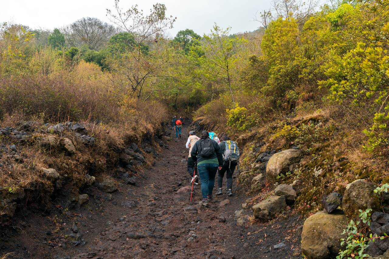 The trail going up Pacaya Volcano