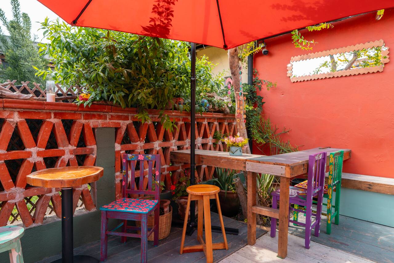 The garden area at Alegría Café