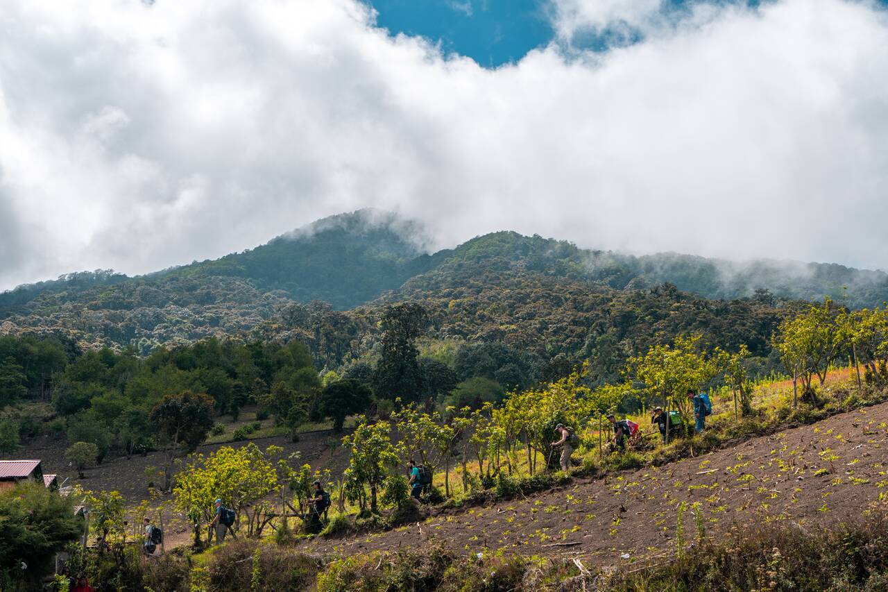 The farmland area on the hike to Acatenango