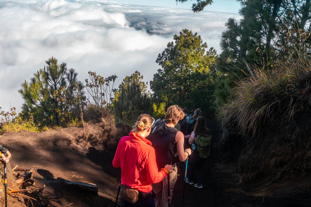 People hiking down with trekking poles in Acatenango