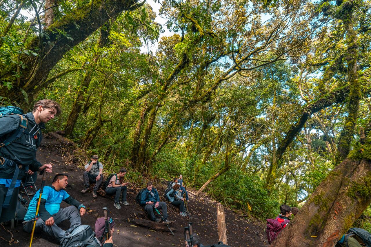 People resting before arriving at the bottom of the Acatenango Hike