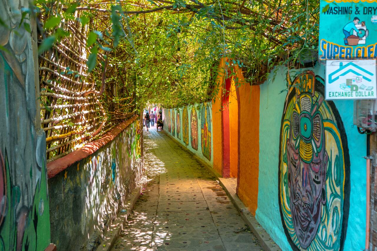 Green covered street of San Marcos