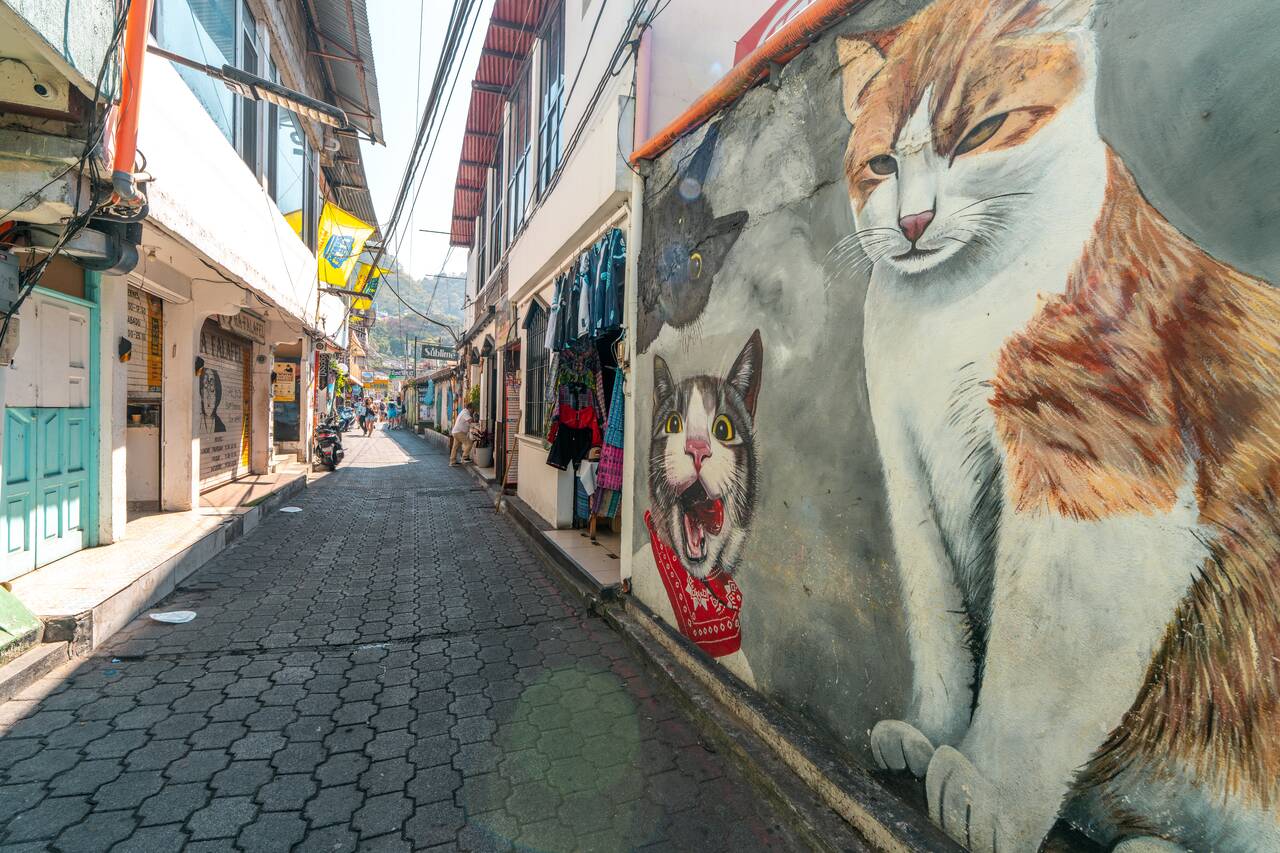 The street and murals at San Pedro