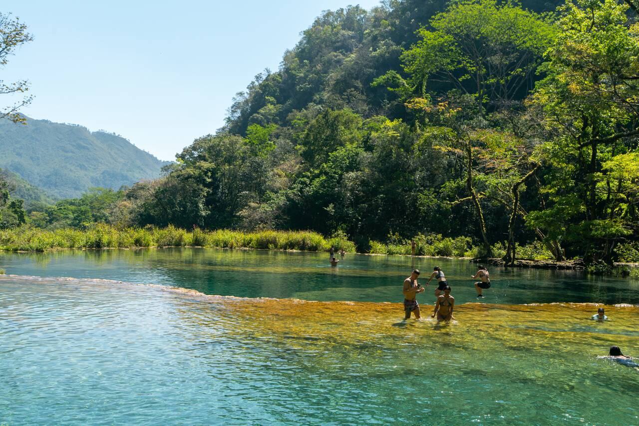 People jumping in the Turquoise Limestone Pools in Semuc Champey