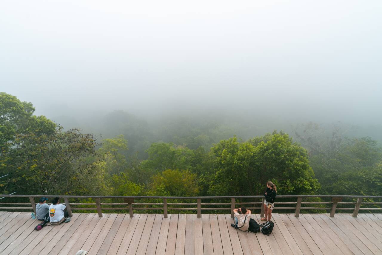 People listening to the sound of the jungle waking up in Tikal