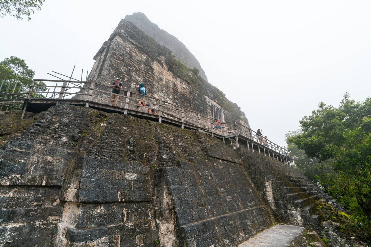 The top of Temple IV in Tikal