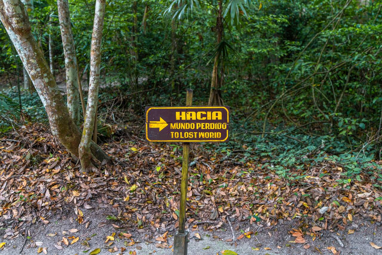 A sign to the Lost Word Complex