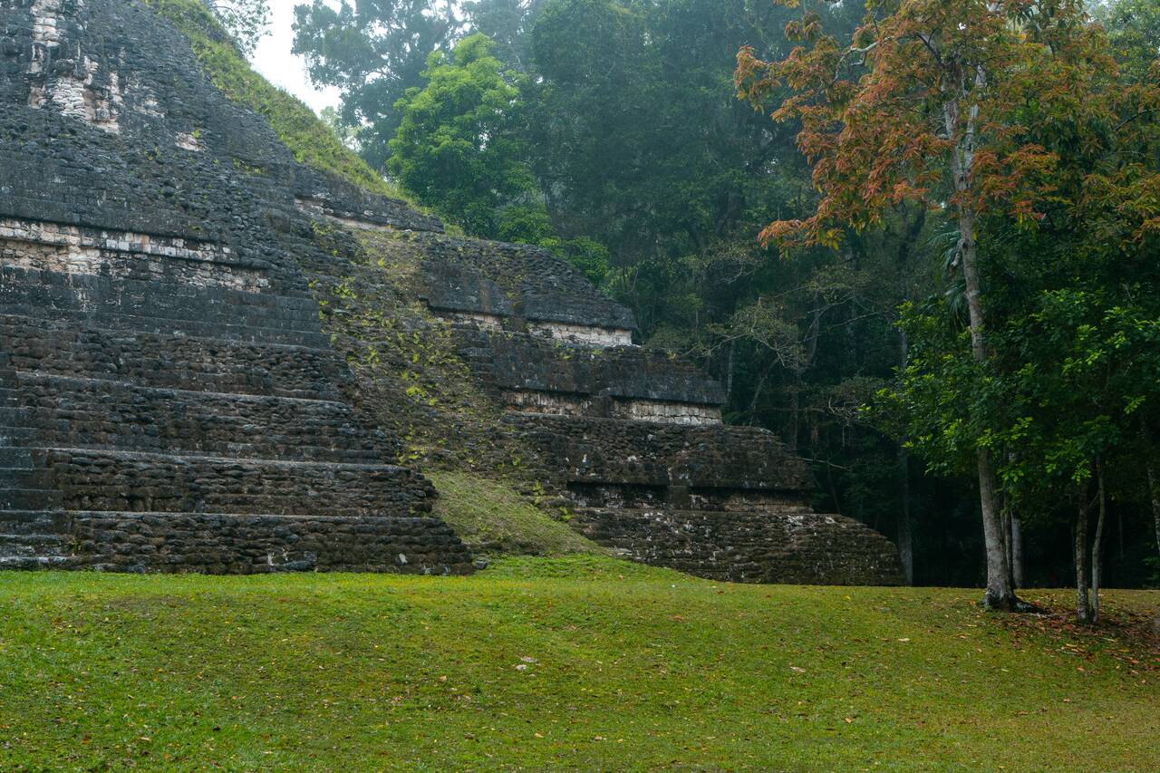 Moss covered pyramid at the Lost Word Complex