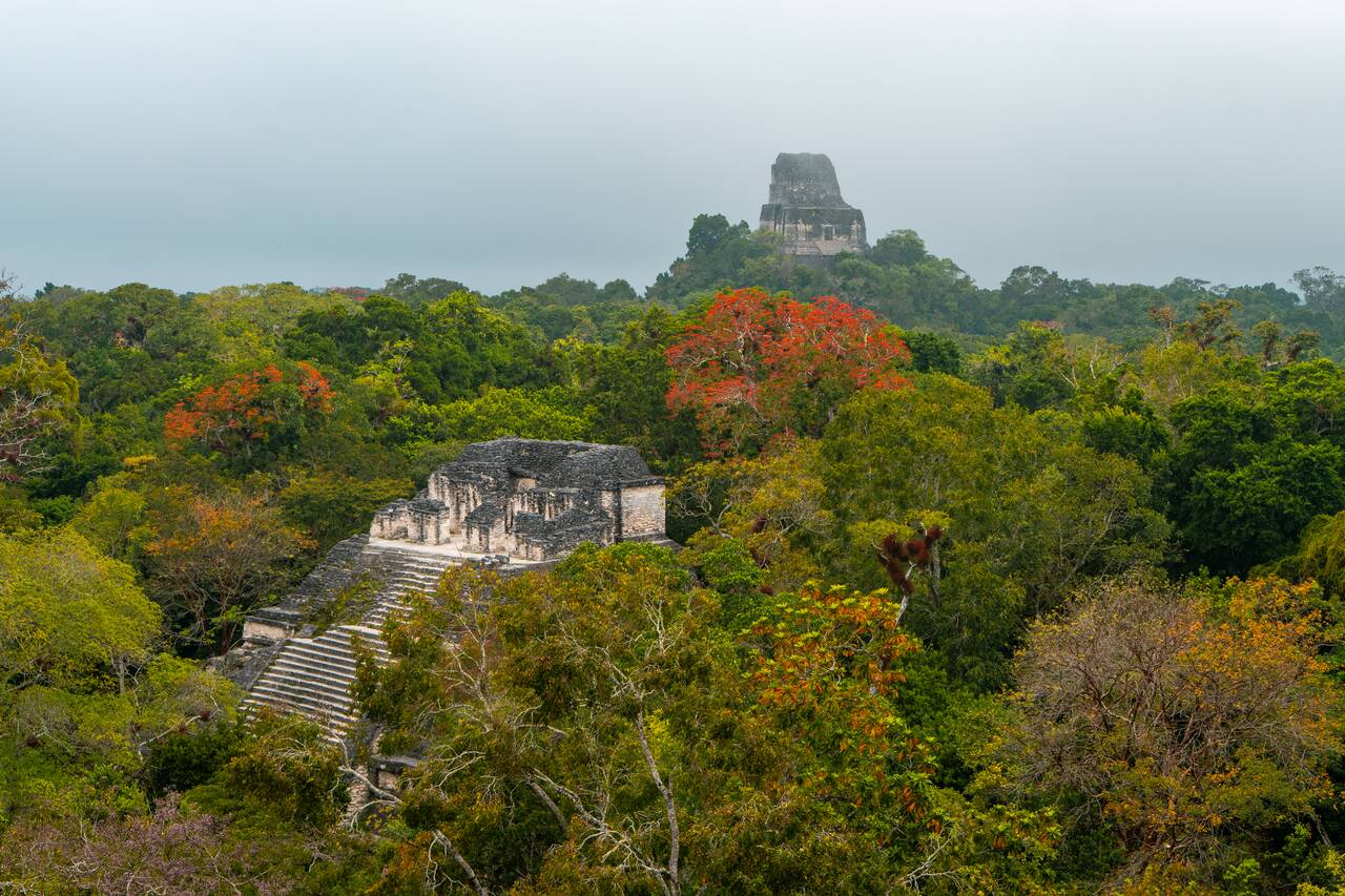 Temple IV seen from Temple III in Tikal