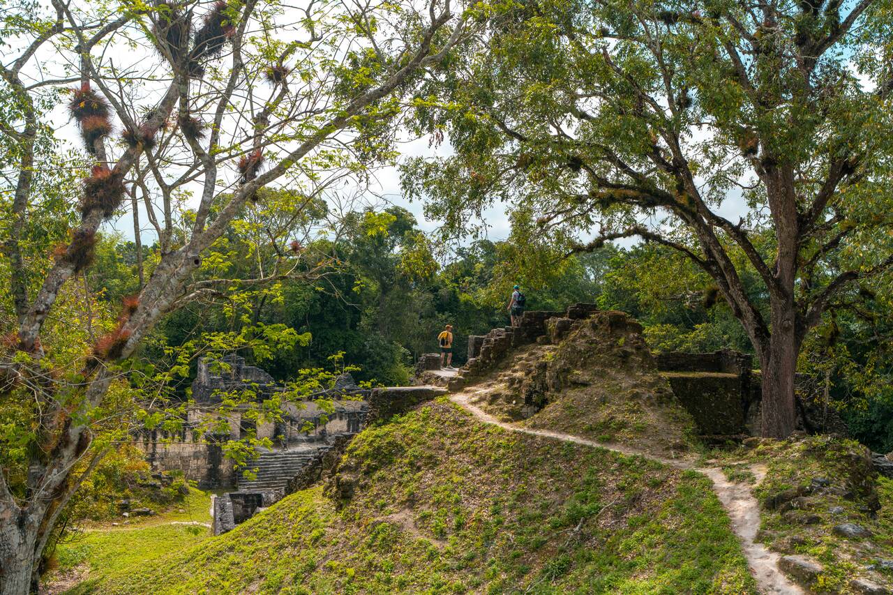 People hiking around and exploring Tikal