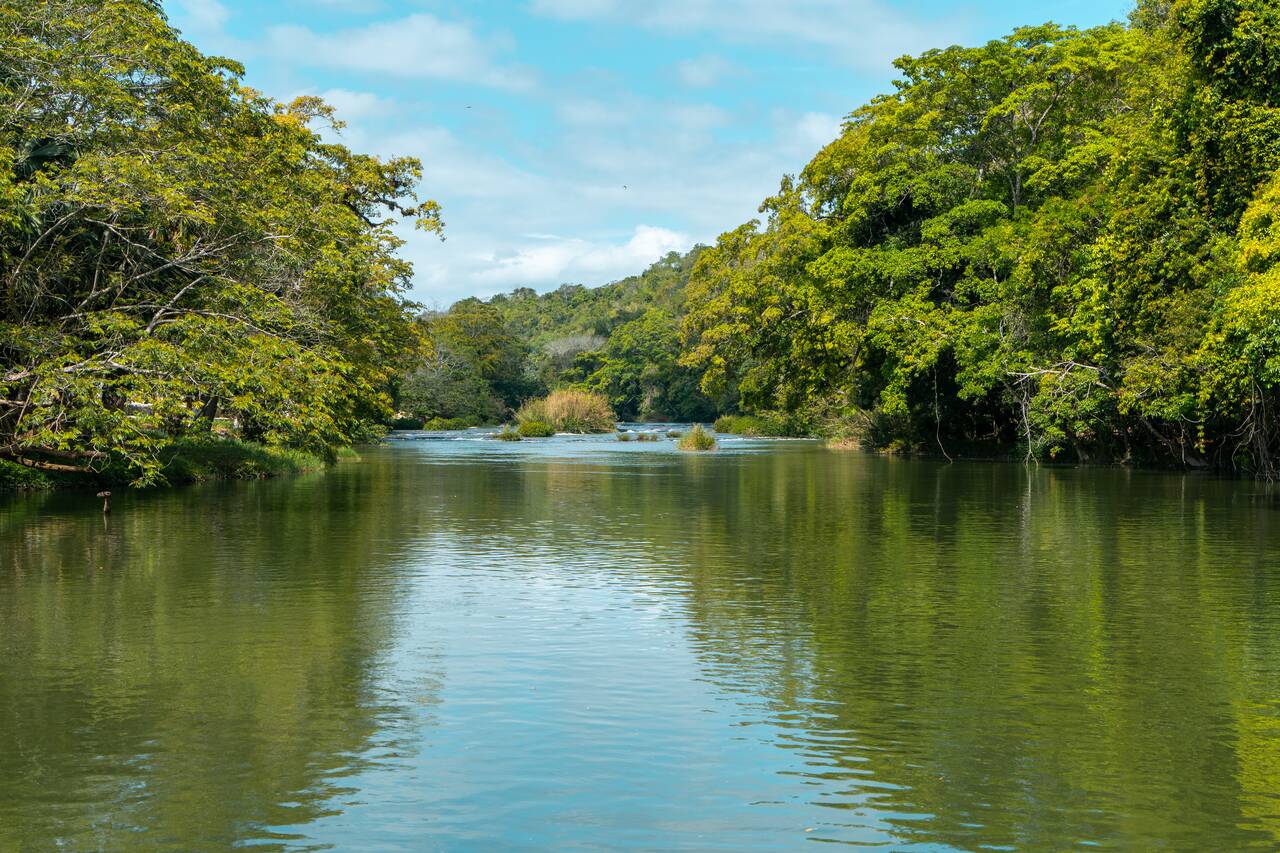 A river in San Ignacio