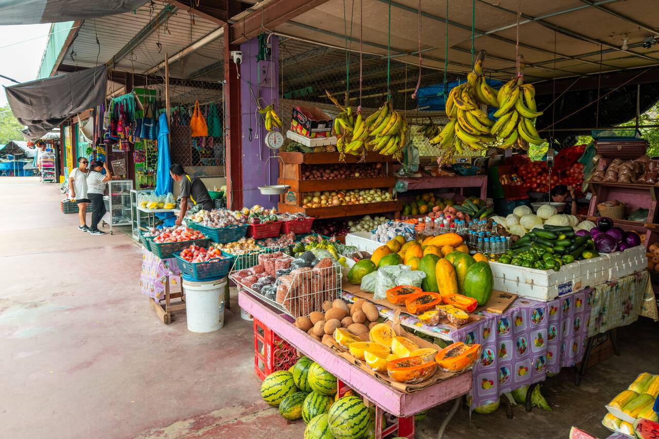 More fruit stalls at San Ignacio Market