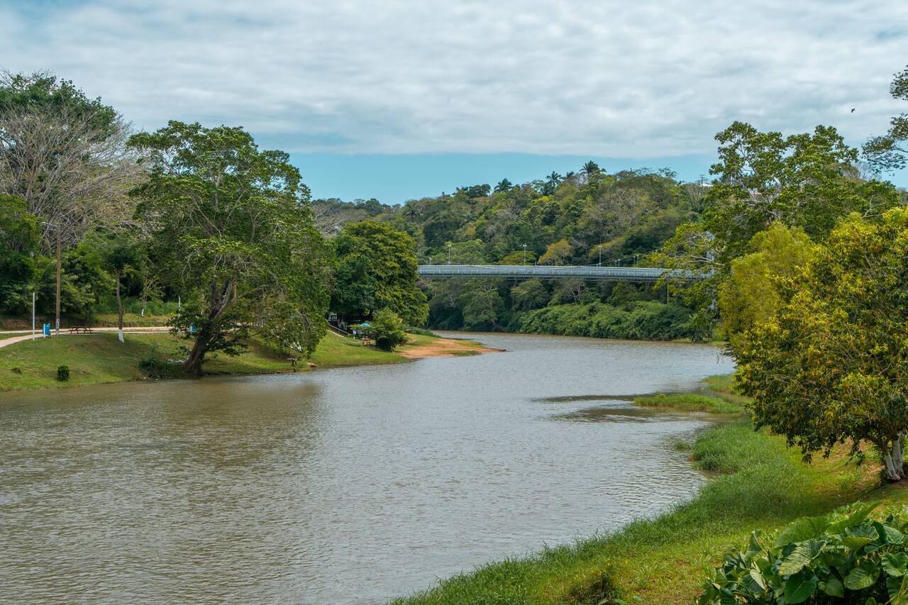 The view of the river from El Cayo Boardwalk