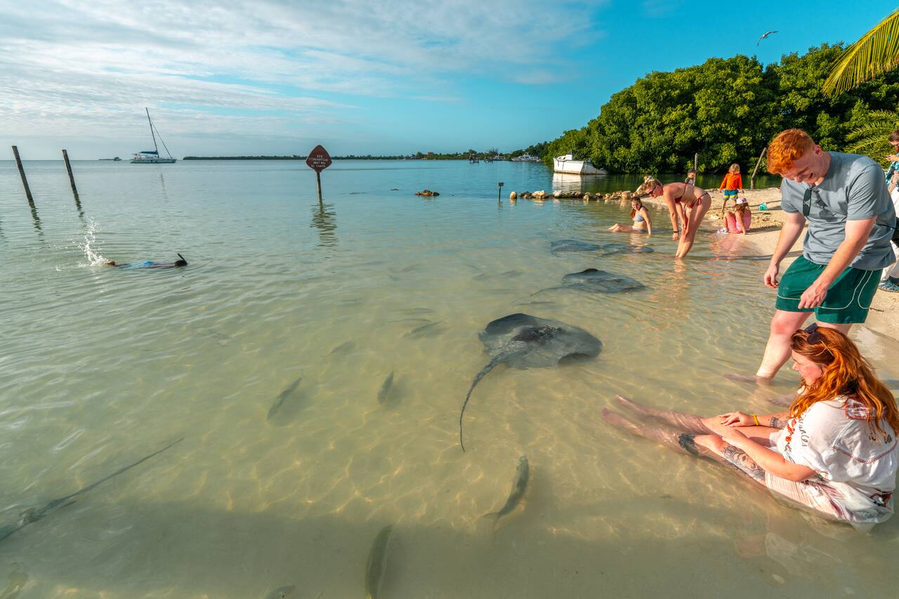 People sitting in the water surrounded by stingrays at Stingray Beach