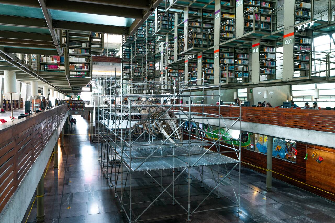 A whale skeleton at Biblioteca Vasconcelos