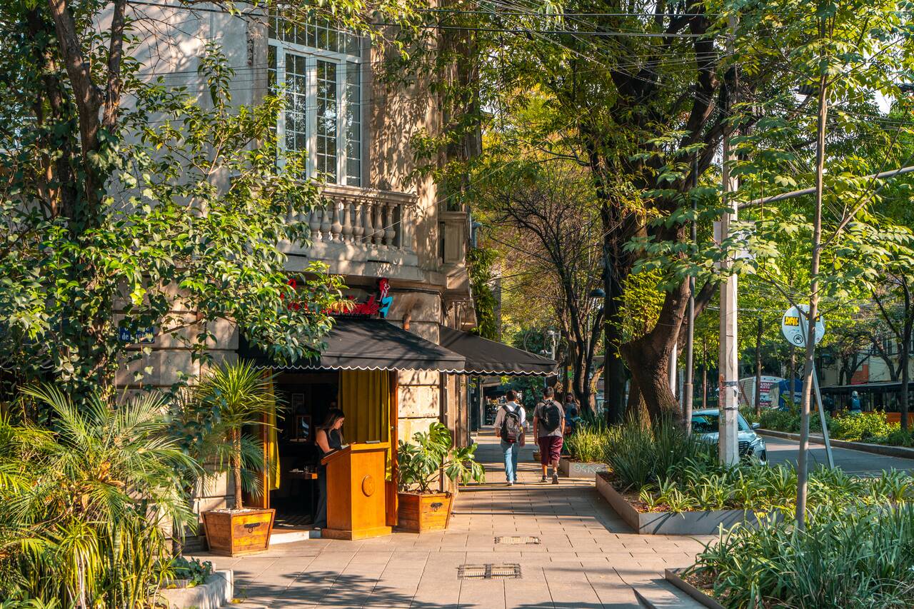 People walking in the shaded street of Roma Norte