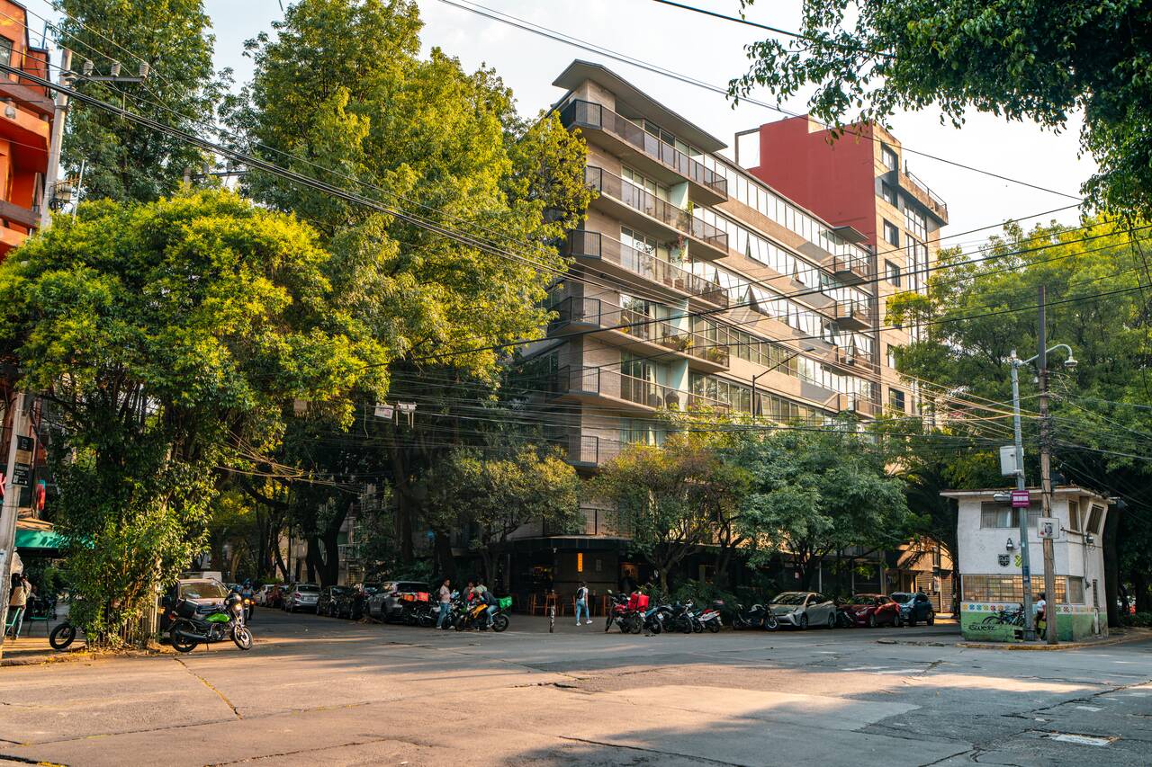 Trees covered street in La Condesa