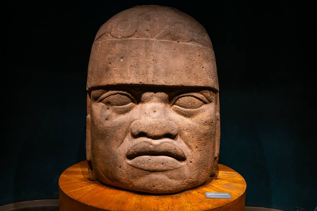 The famous olmec head at Museo Nacional de Antropología