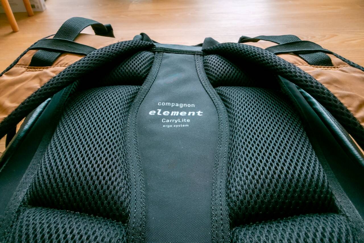 Padded mesh back panel of Compagnon Element Backpack