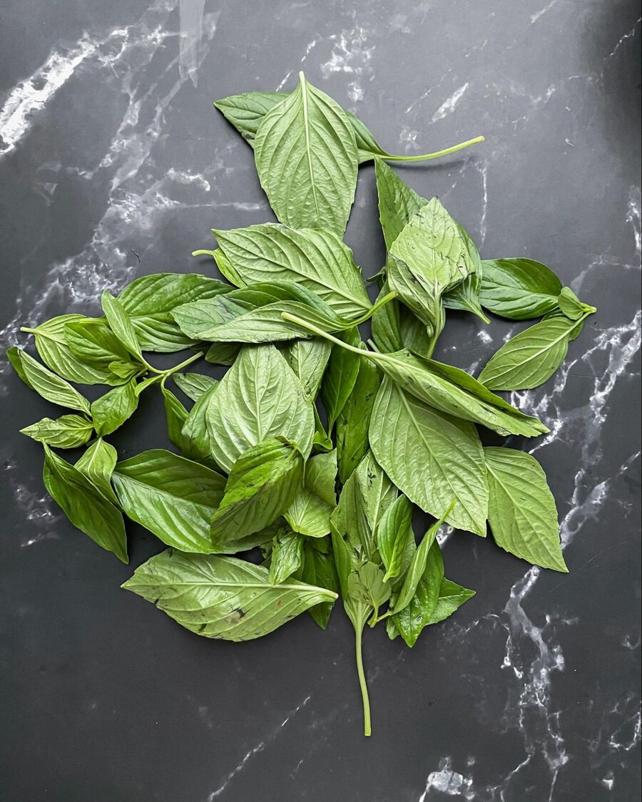 Remove the sweet basil leaves from the stem, then wash and drain them thoroughly.